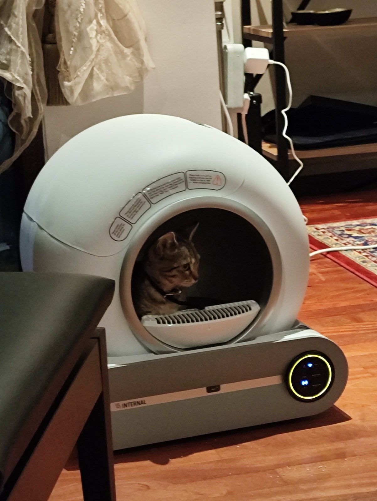 finally caved and got the auto litter box… my girl immediately claimed it as her new nap spot lol (it's not even running, she just likes the dome). worth the money or did i just buy a very expensive cat cave 😹