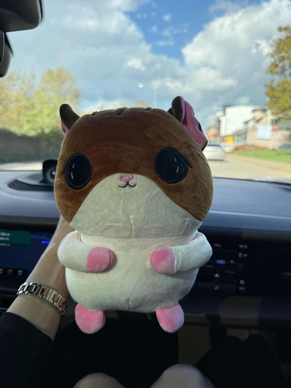 we're about to drive 6 hours and my boyfriend surprised me with THIS little guy as a travel pillow 🥹🐹 it's so soft and stupidly cute and now i'm getting emotional in a moving car. what's the silliest little thing your person has ever gotten you??