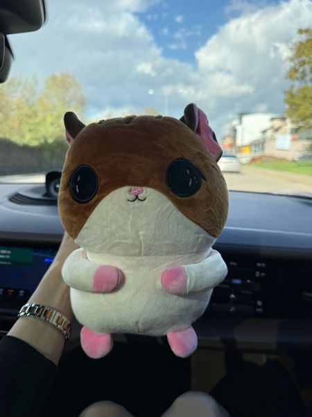 we're about to drive 6 hours and my boyfriend surprised me with THIS little guy as a travel pillow 🥹🐹 it's so soft and stupidly cute and now i'm getting emotional in a moving car. what's the silliest little thing your person has ever gotten you??