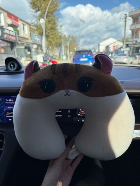 we're about to drive 6 hours and my boyfriend surprised me with THIS little guy as a travel pillow 🥹🐹 it's so soft and stupidly cute and now i'm getting emotional in a moving car. what's the silliest little thing your person has ever gotten you??